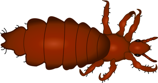 Obrázek